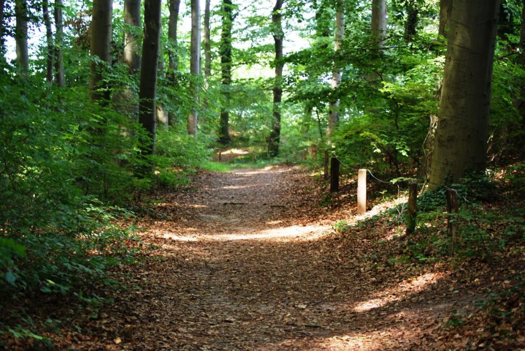 Streckelsberg Koserow