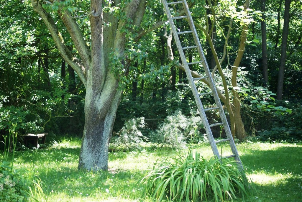 Garten Otto Niemeyer-Holstein Koserow